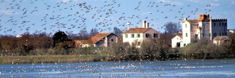 La vita sul Delta del Po